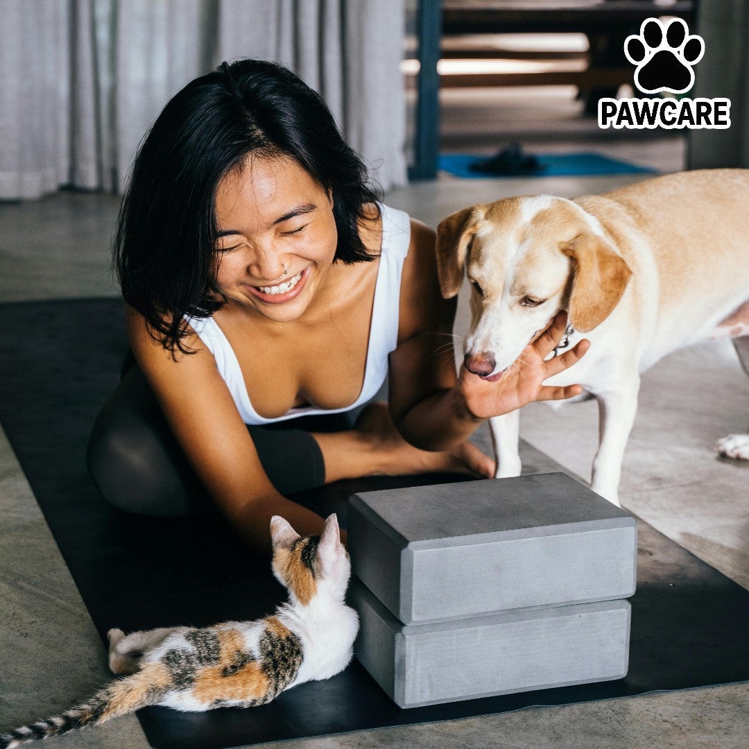 Pet owner